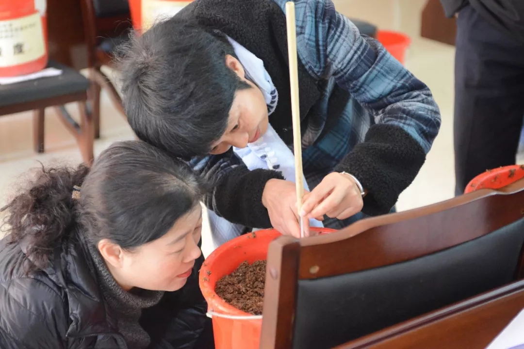 1598497154509883.jpg 技能3.webp.jpg